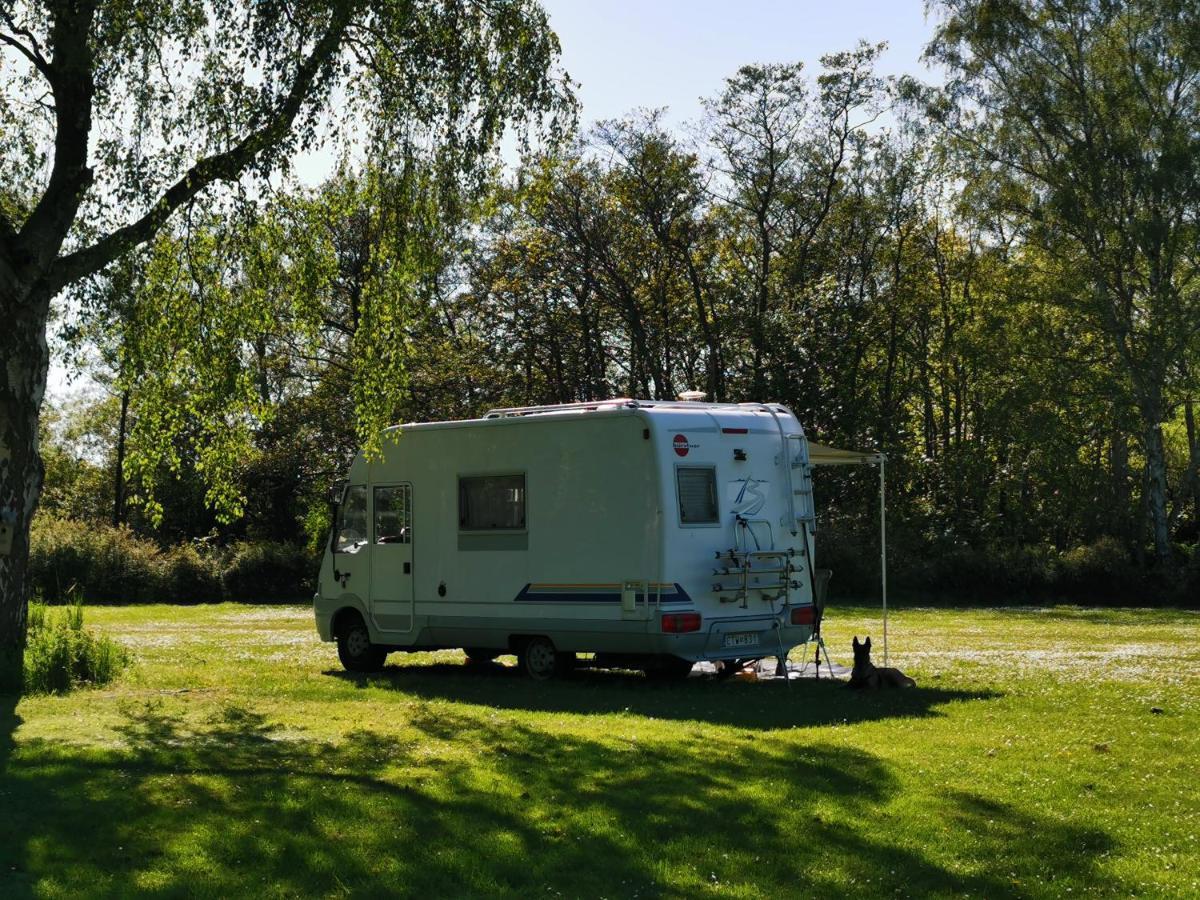 Frederiksvaerk Camping & Hostel Luaran gambar