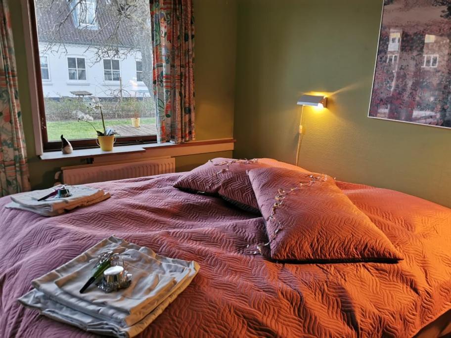 Frederiksvaerk Camping & Hostel Luaran gambar