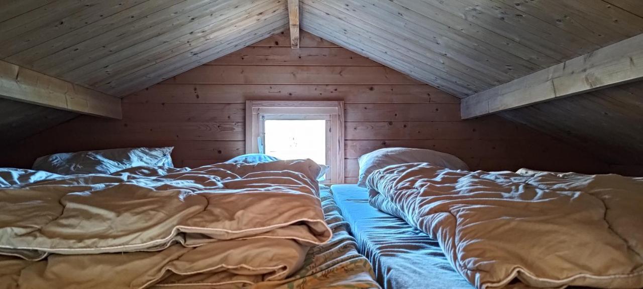 Frederiksvaerk Camping & Hostel Luaran gambar