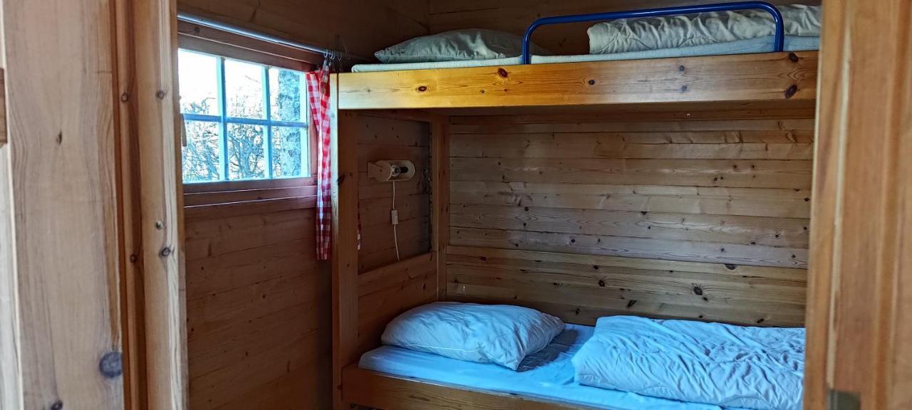 Frederiksvaerk Camping & Hostel Luaran gambar