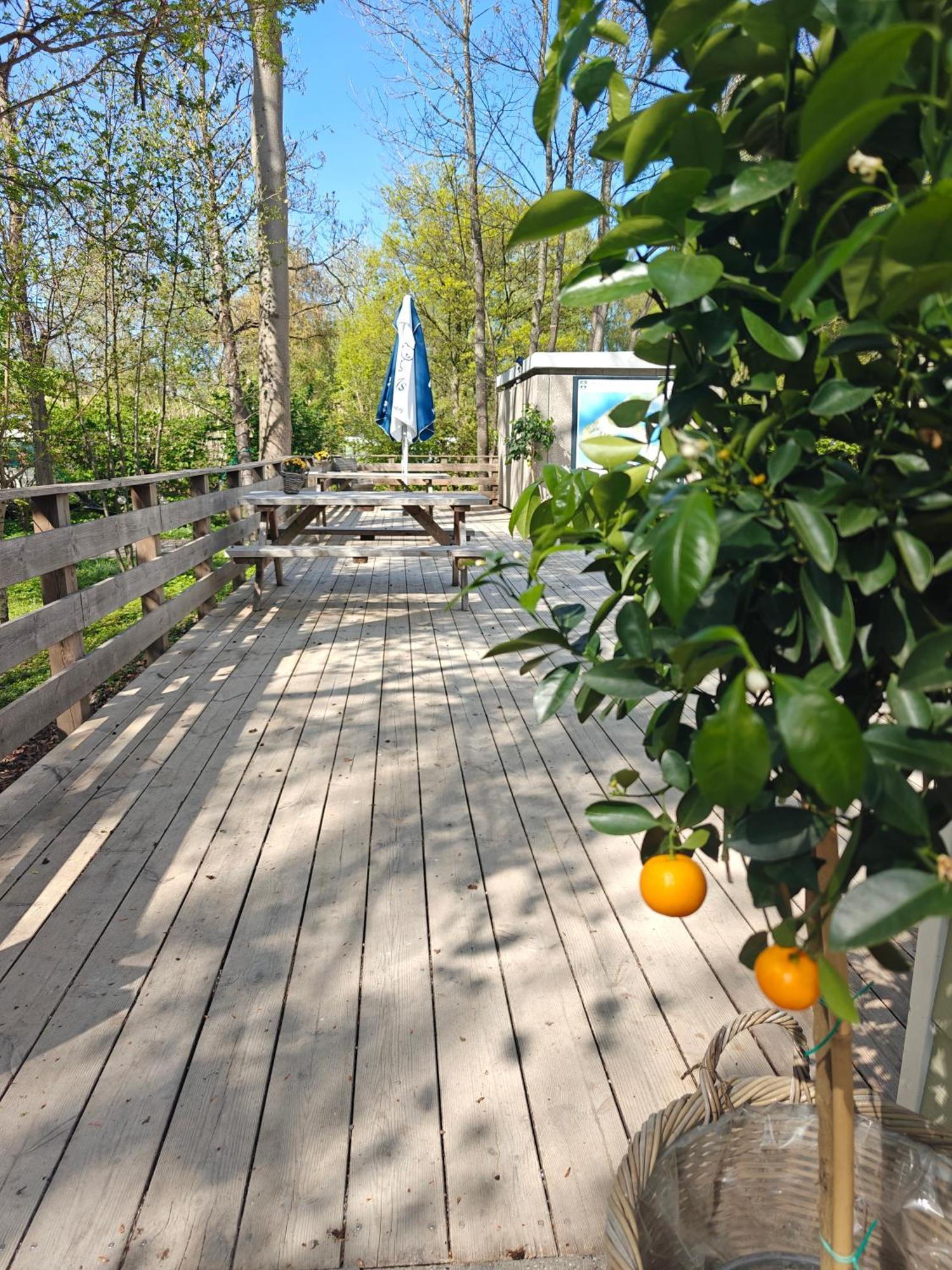 Frederiksvaerk Camping & Hostel Luaran gambar