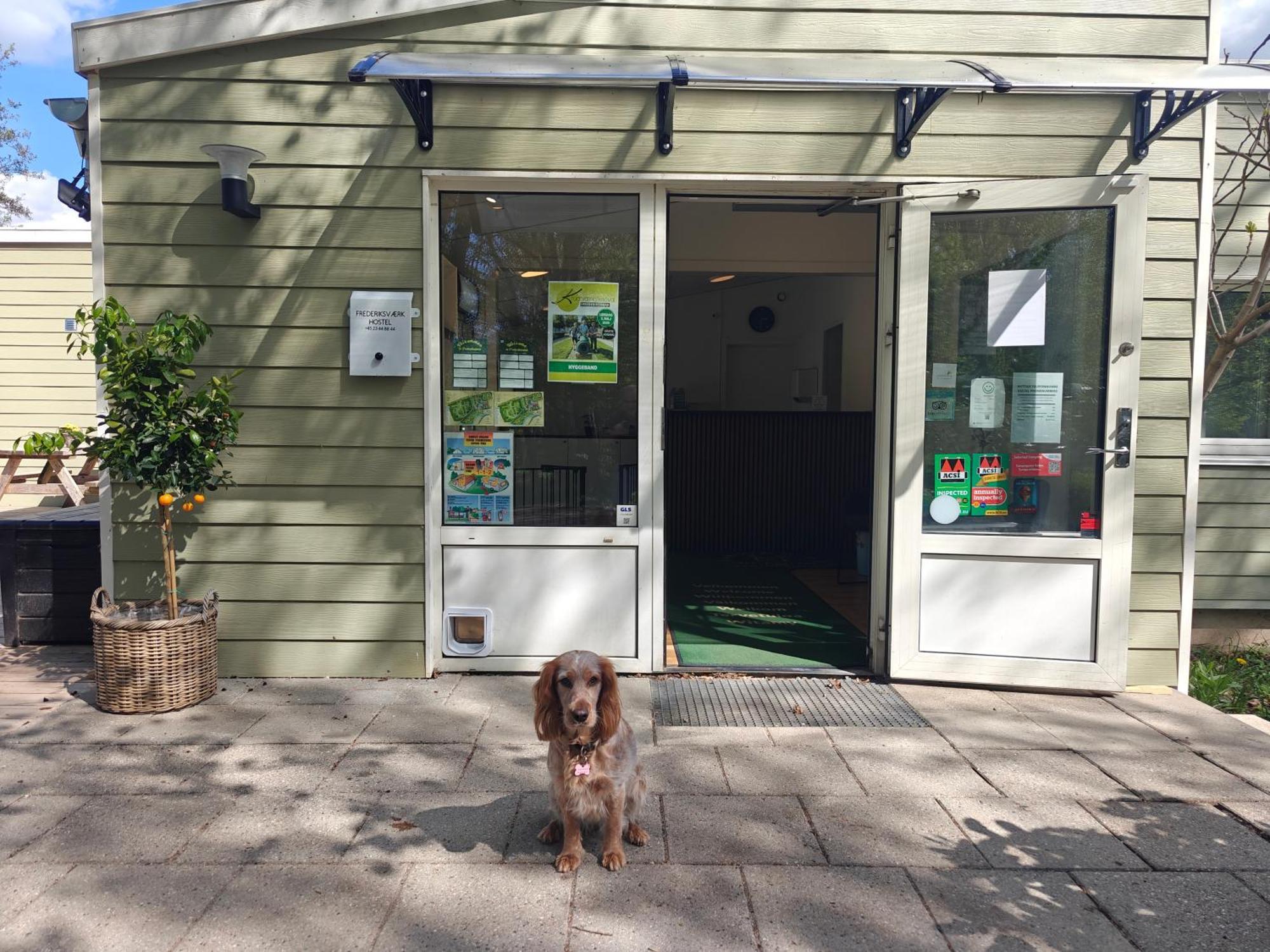 Frederiksvaerk Camping & Hostel Luaran gambar